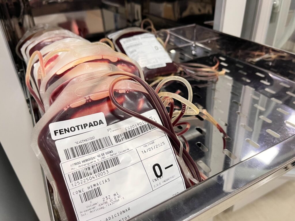Doação de sangue na Rede Hemo