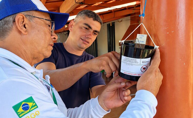 Combate ao Aedes aegypti em Goiás