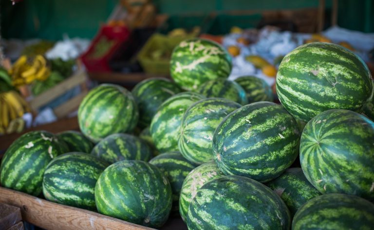 Goiás lidera produção nacional de melancia – Portal Goiás