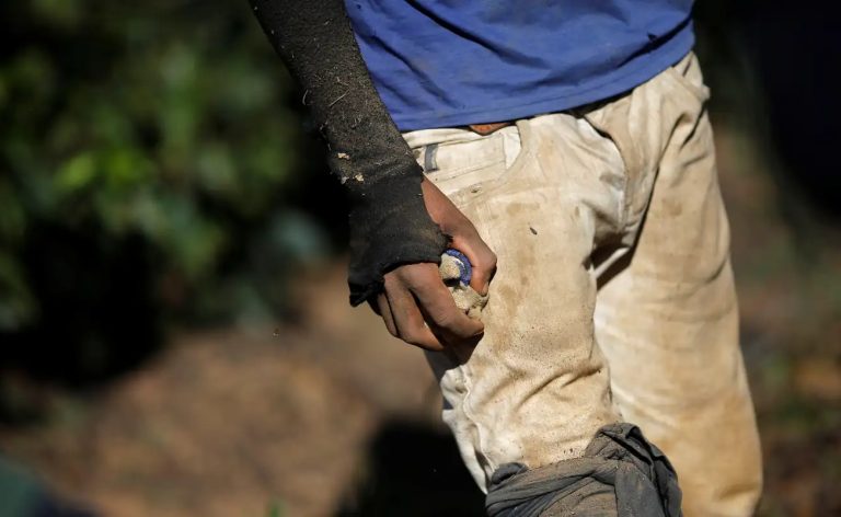 Operação resgata 479 trabalhadores em situações análogas à escravidão