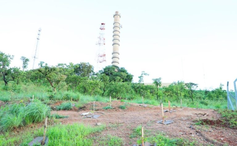 Governo de Goiás investe R$ 14,4 milhões na revitalização do Parque da Serrinha                    - área verde, e torres metálica e de concreto