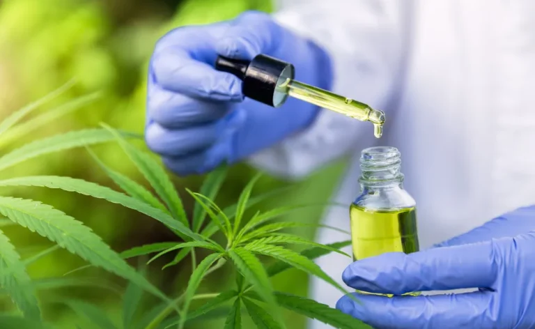 maconha-medicinal-2